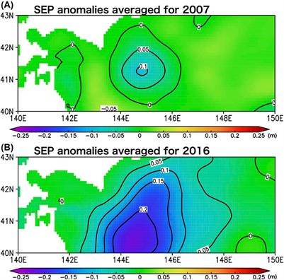 Effect of Ocean Fluid Changes on Pressure on the Seafloor: Ocean Assimilation Data Analysis on Warm-Core Rings off the Southeastern Coast of Hokkaido, Japan on an Interannual Timescale